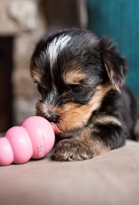 KONG KONG Puppy Dog Toy - Blue, Small