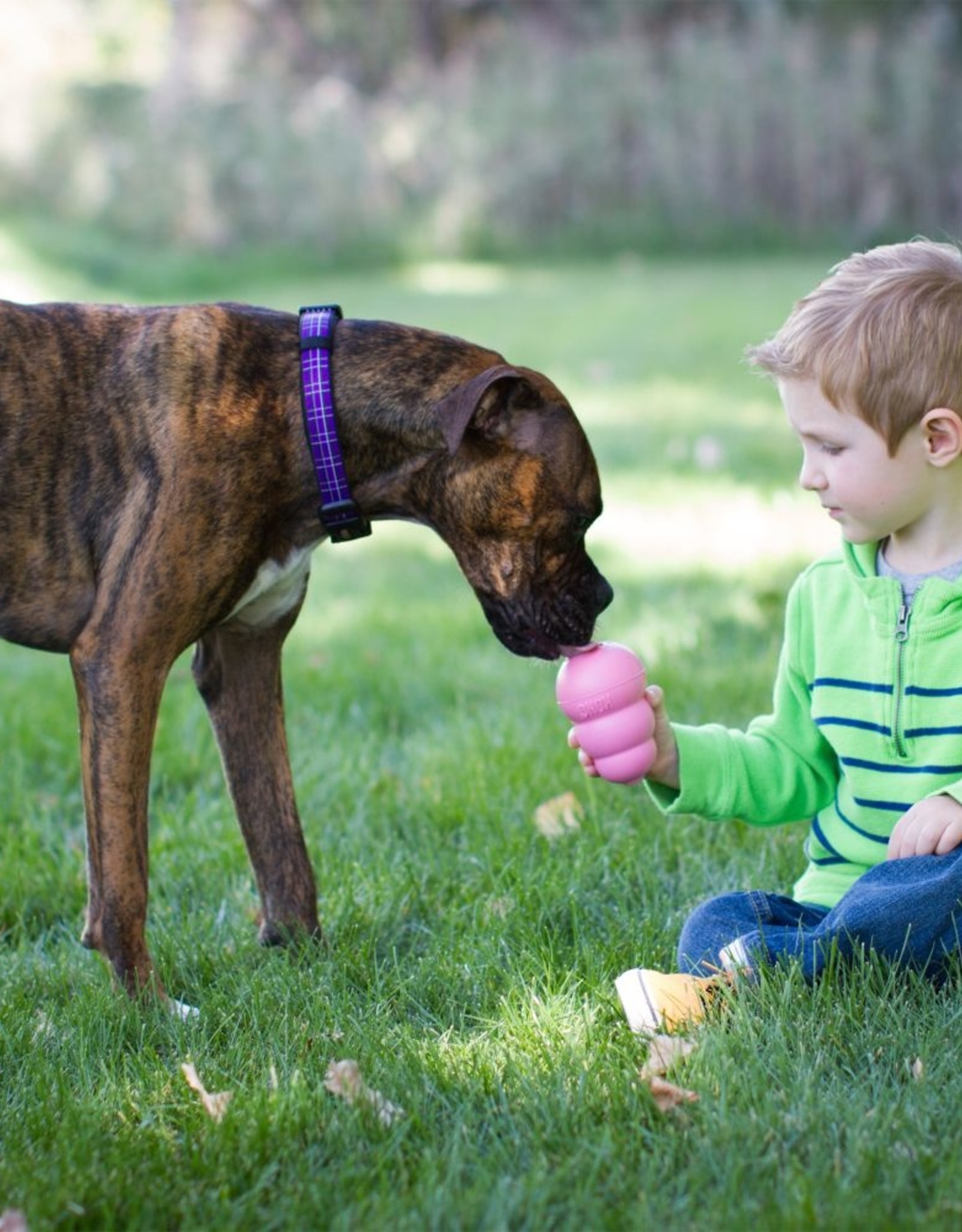 KONG EASY TREAT TO GO PUPPY 10PK - Pickering Valley Feed & Farm Store