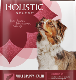 WELLPET LLC HOLISTIC SELECT DOG GRAIN FREE SALMON ANCHOVY & SARDINE 4LBS