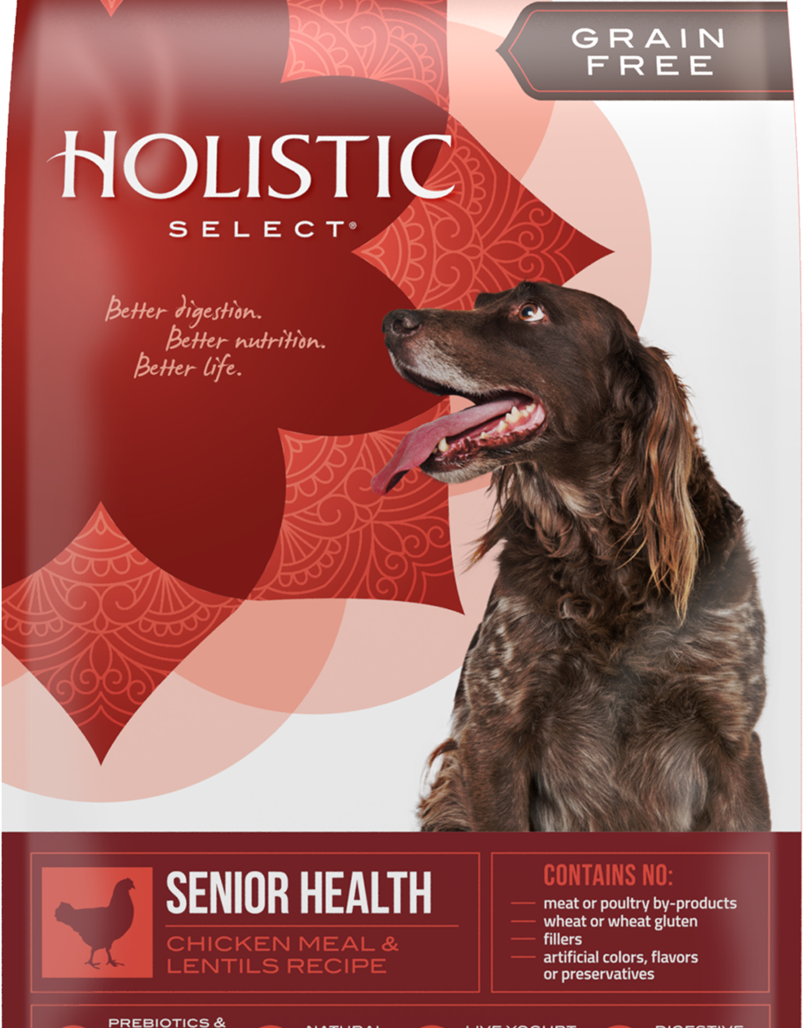 holistic select grain free