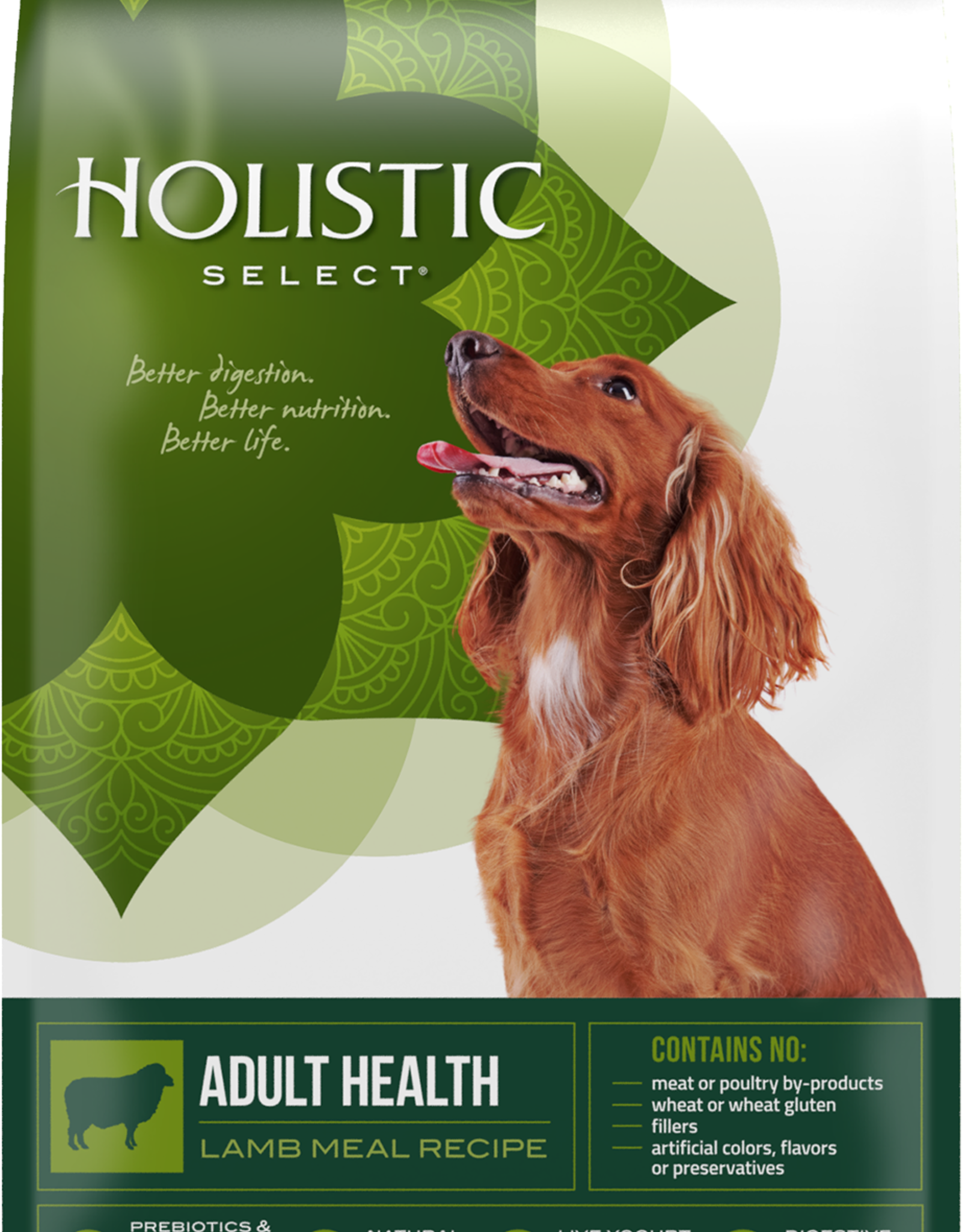 holistic select lamb