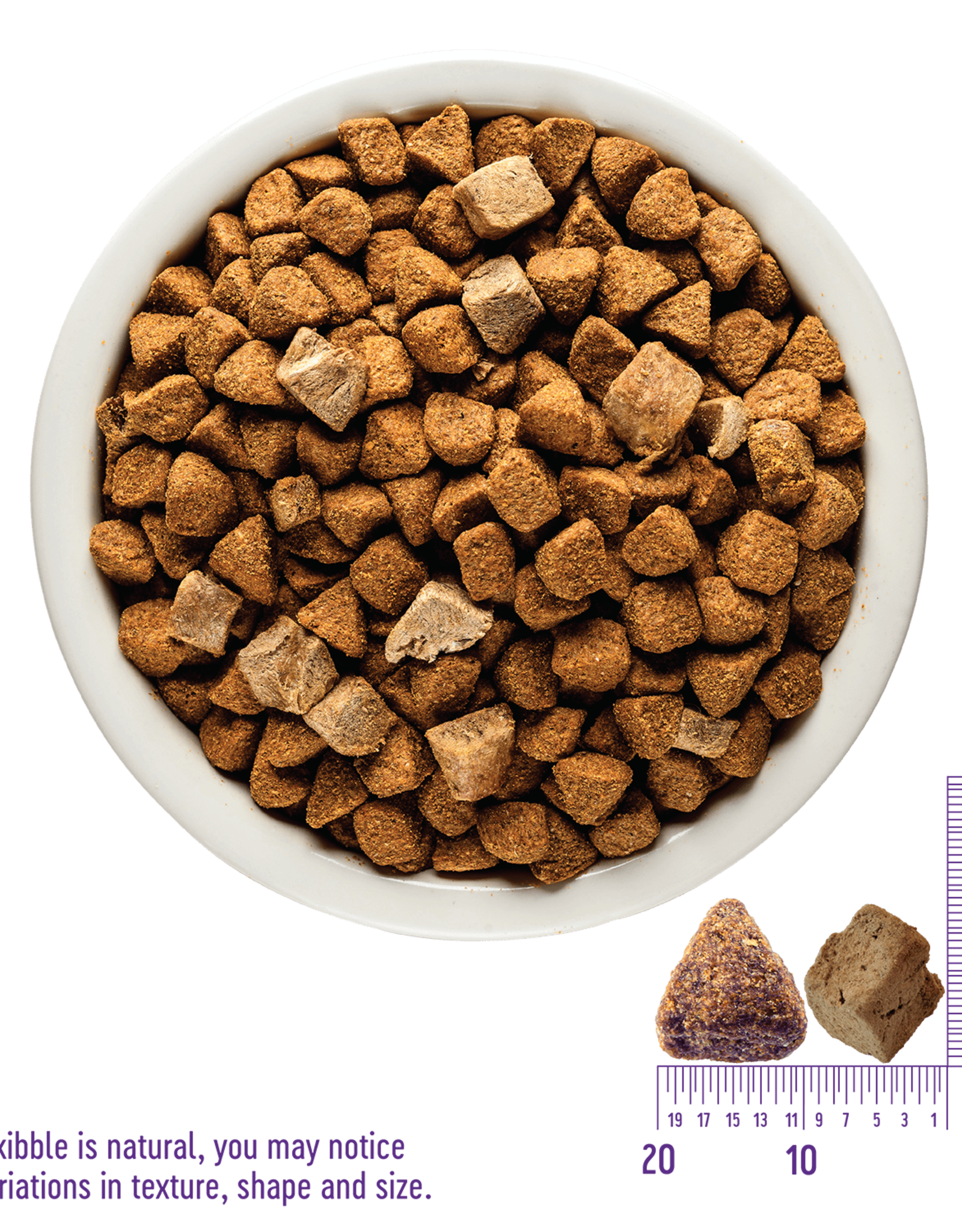 Wellness WELLNESS CORE DOG RAW REV TURKEY SMALL BREED 4LBS