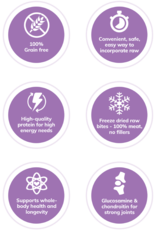 Wellness WELLNESS CORE DOG RAW REV TURKEY SMALL BREED 4LBS