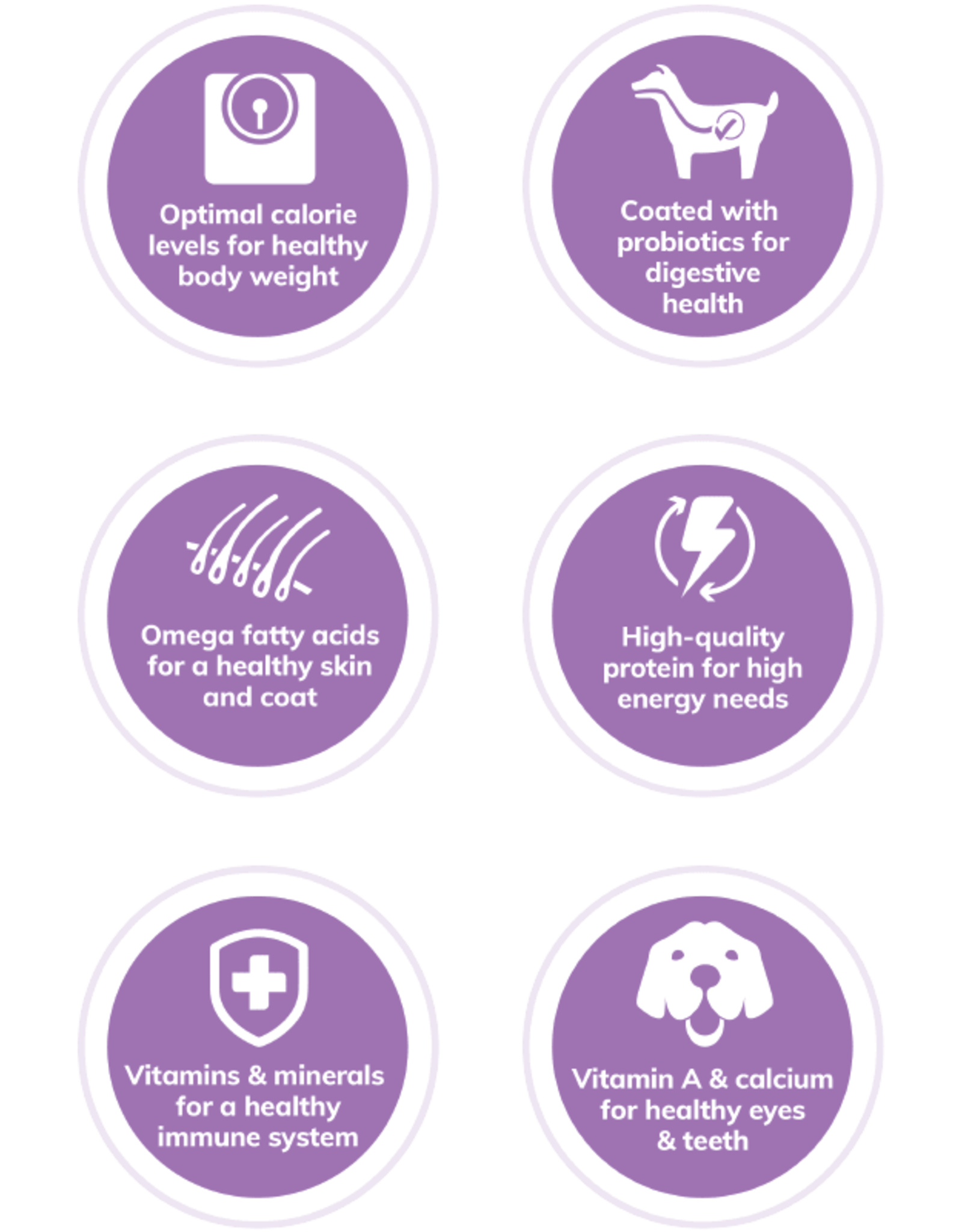 Wellness WELLNESS DOG SMALL BREED HEALTHY WEIGHT 4LBS