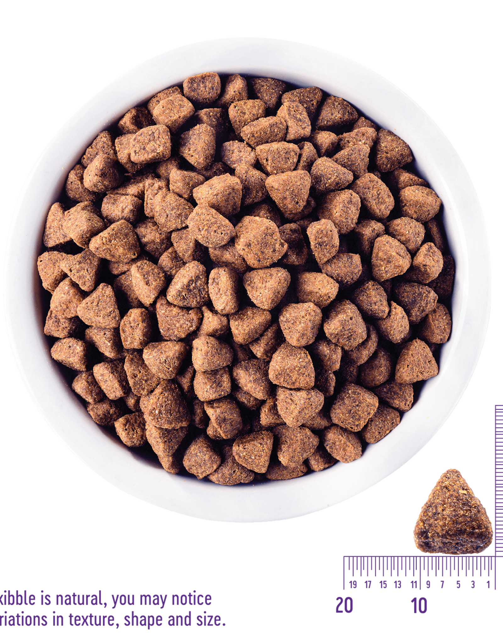 WELLPET LLC WELLNESS DOG CORE ORIGINAL 12LBS