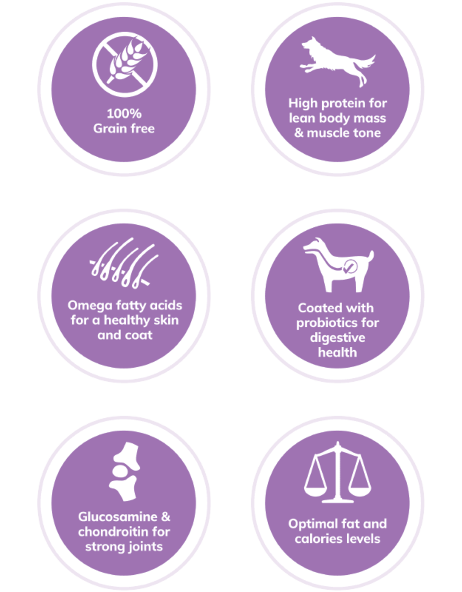 Wellness WELLNESS DOG CORE ORIGINAL 24LBS