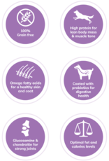 Wellness WELLNESS DOG CORE ORIGINAL 12LBS