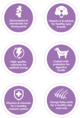 Wellness WELLNESS DOG SENIOR 15LBS