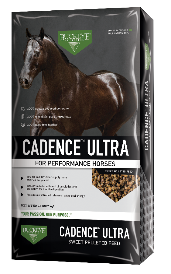 BUCKEYE CADENCE ULTRA HORSE FEED 50LBS Pickering Valley Feed & Farm Store