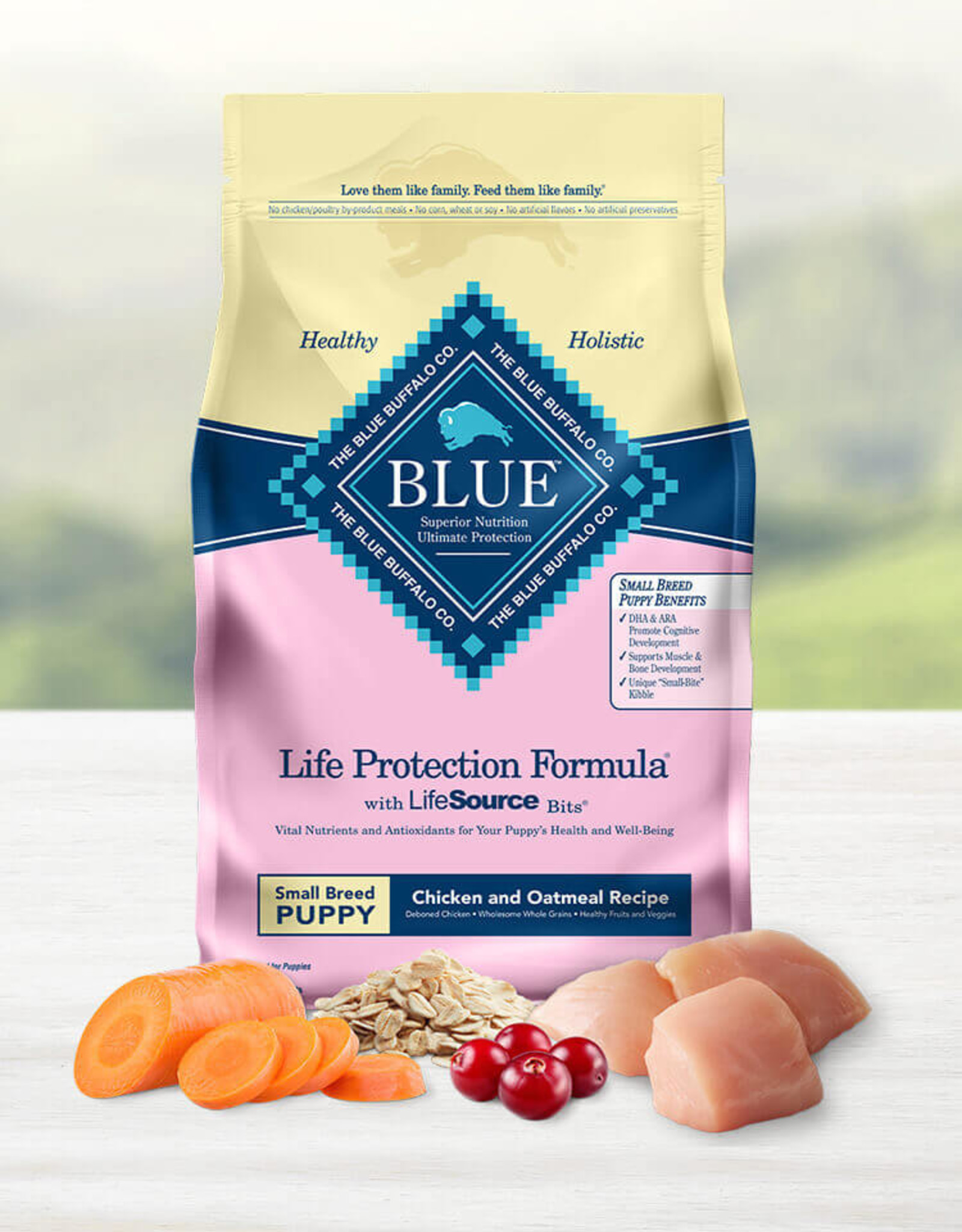 Blue Buffalo BLUE BUFFALO DOG SMALL BREED PUPPY 6LBS