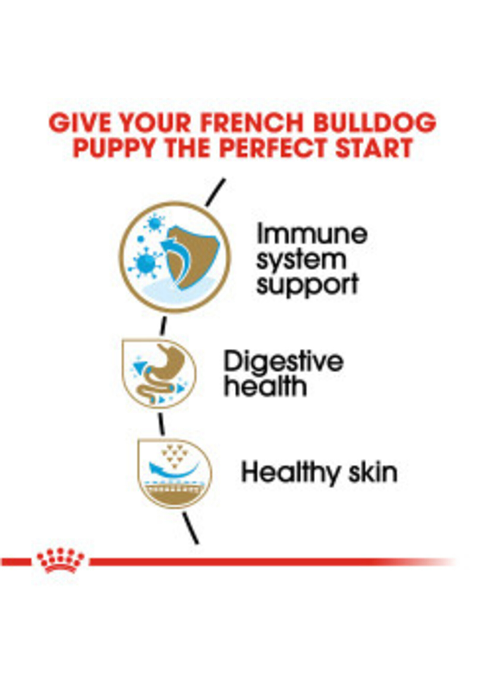 Royal Canin ROYAL CANIN FRENCH BULLDOG PUPPY 3LBS