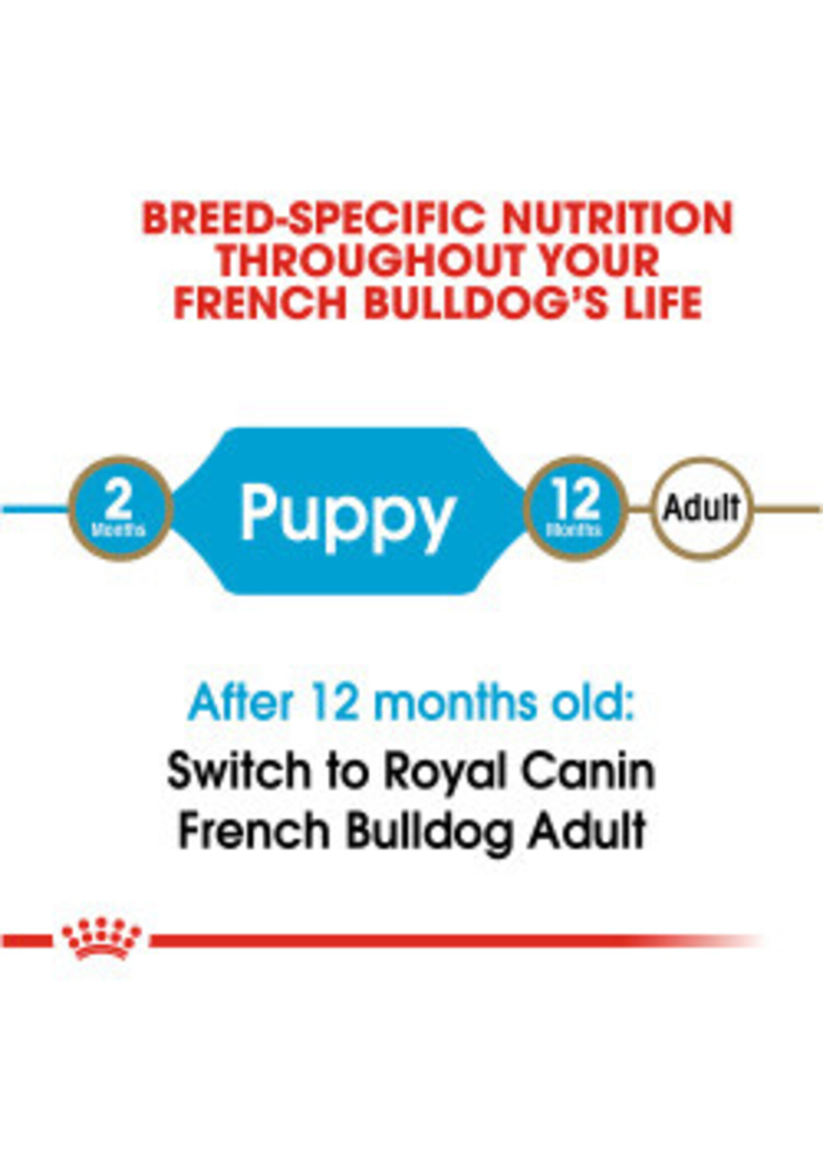 Royal Canin ROYAL CANIN FRENCH BULLDOG PUPPY 3LBS