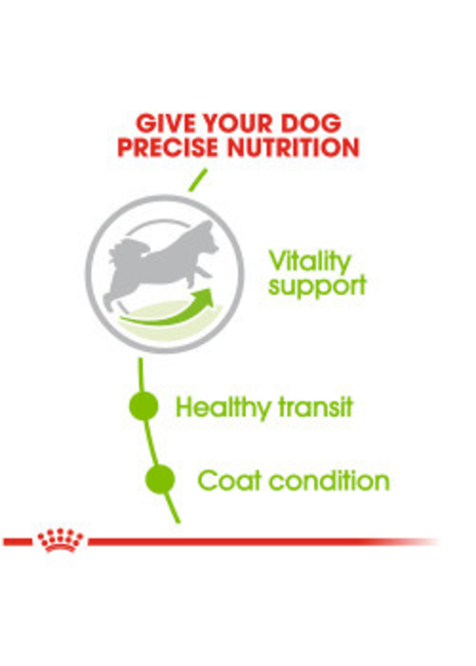 Royal Canin ROYAL CANIN DOG  XSMALL ADULT 2.5LBS