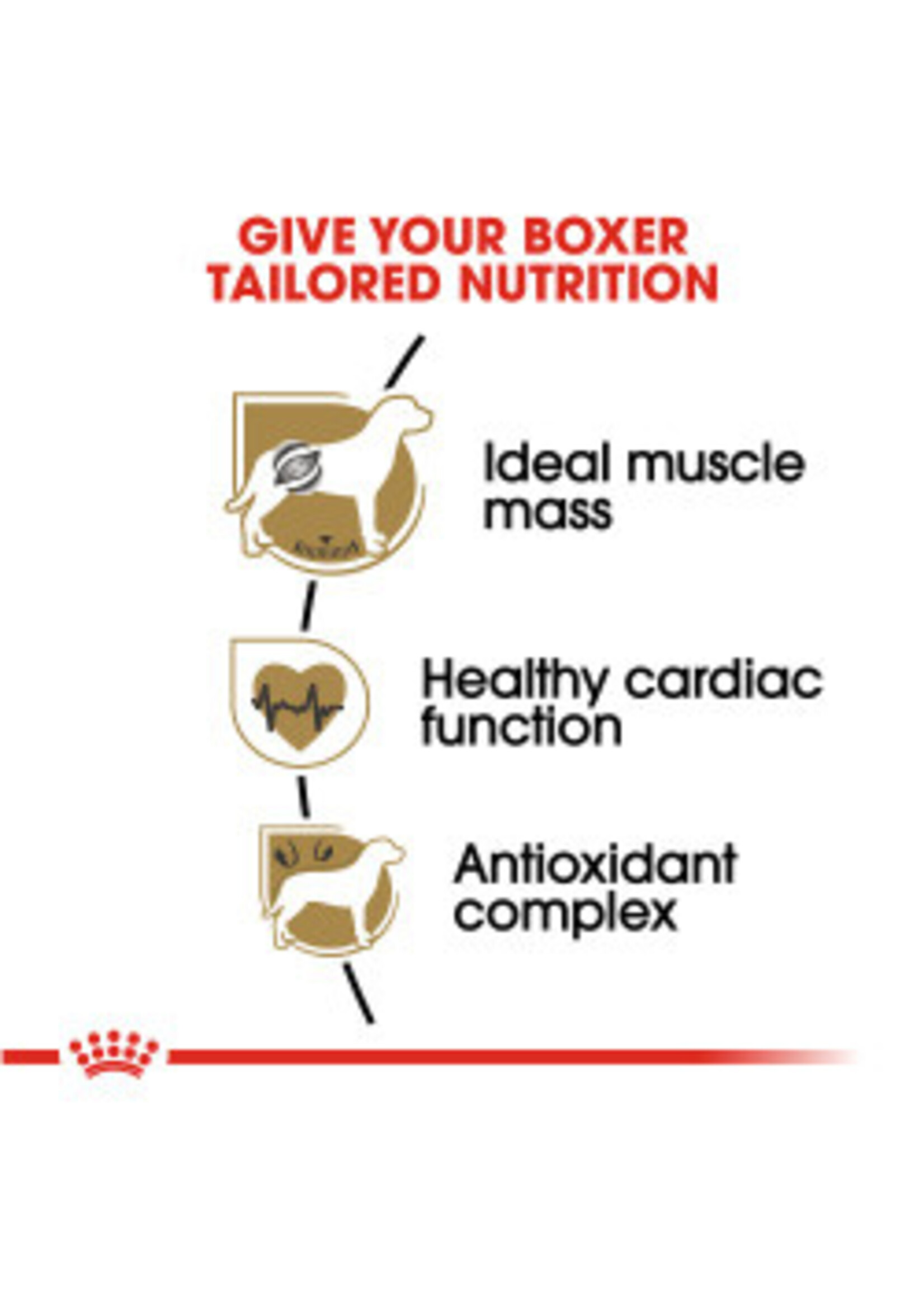 Royal Canin ROYAL CANIN DOG BOXER 30LBS