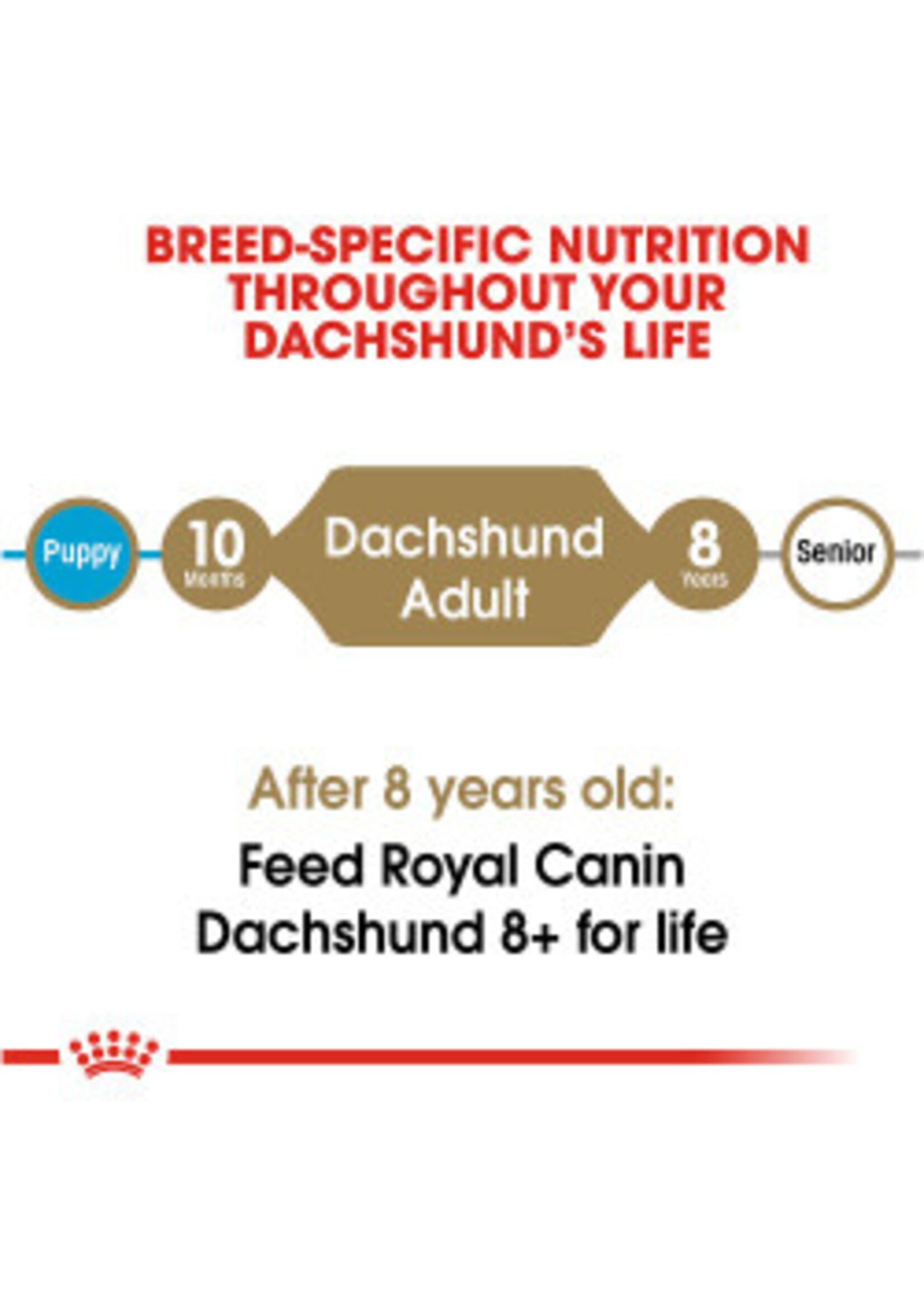 Royal Canin ROYAL CANIN DOG DACHSHUND 10LBS