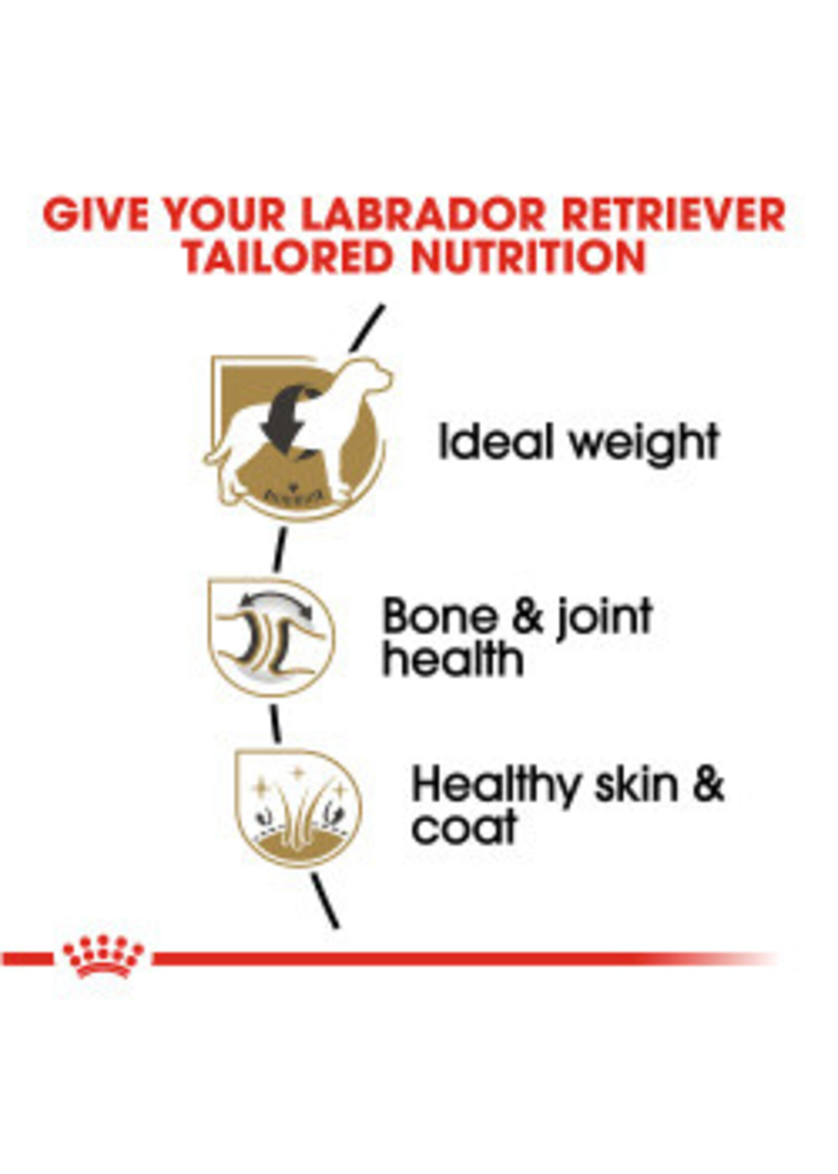 Royal Canin ROYAL CANIN DOG LABRADOR RETRIEVER 30LBS