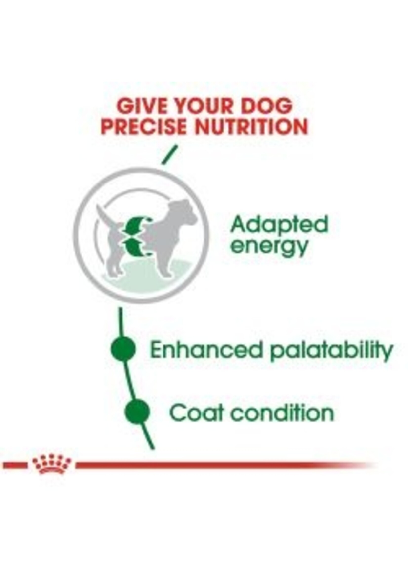 Royal Canin ROYAL CANIN DOG SMALL ADULT 14LBS