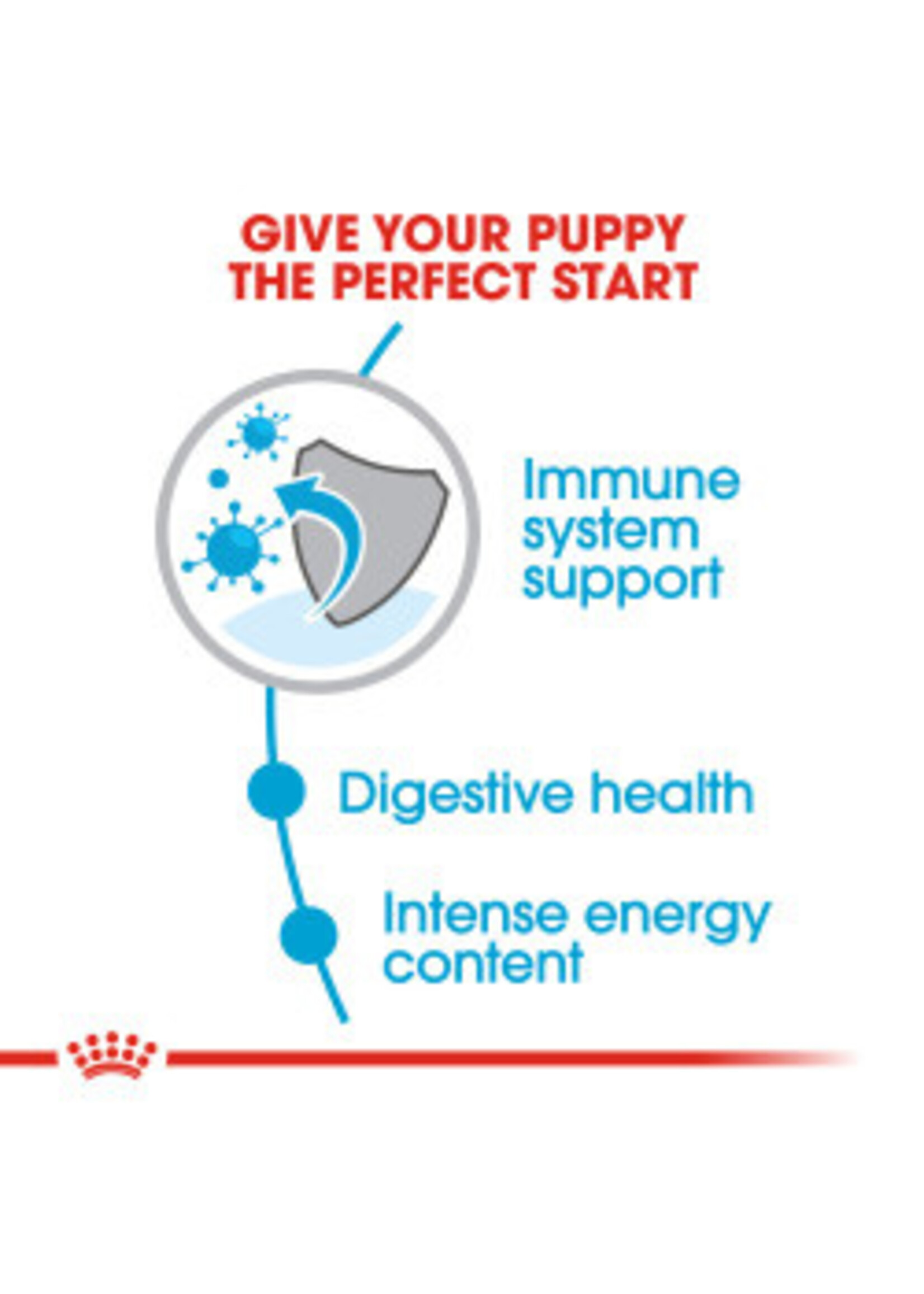 Royal Canin ROYAL CANIN DOG SMALL PUPPY 13LBS
