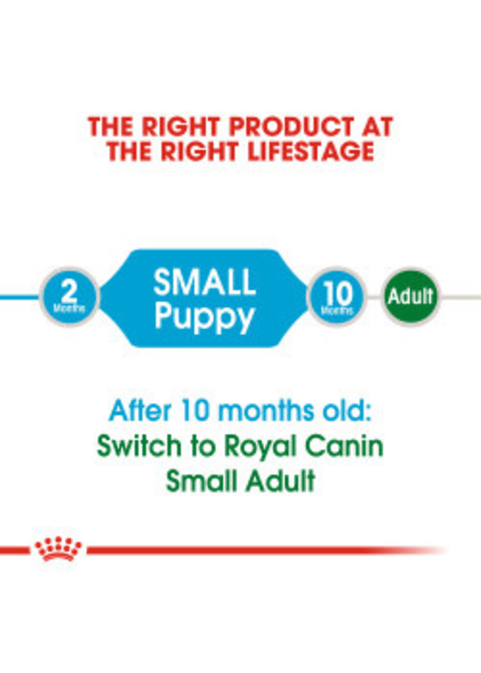 Royal Canin ROYAL CANIN DOG SMALL PUPPY 13LBS