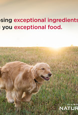 Diamond Pet Foods DIAMOND NATURALS DOG LARGE BREED ADULT 40LBS