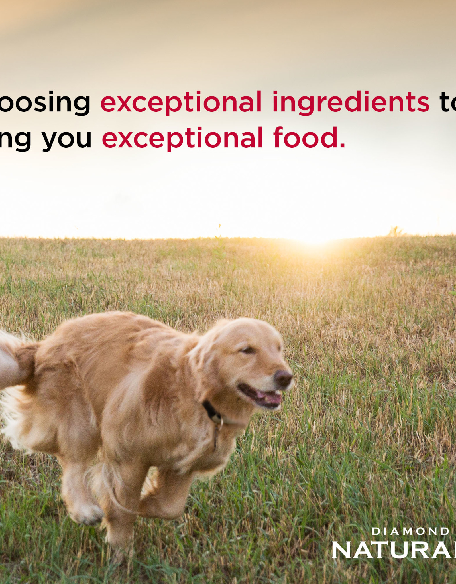 Diamond Pet Foods DIAMOND NATURALS DOG LARGE BREED ADULT 40LBS