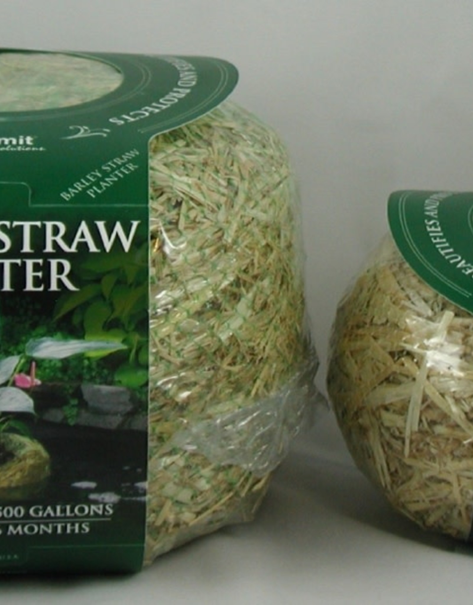 Your Pond Farm BARLEY STRAW PLANTER 11 X 11