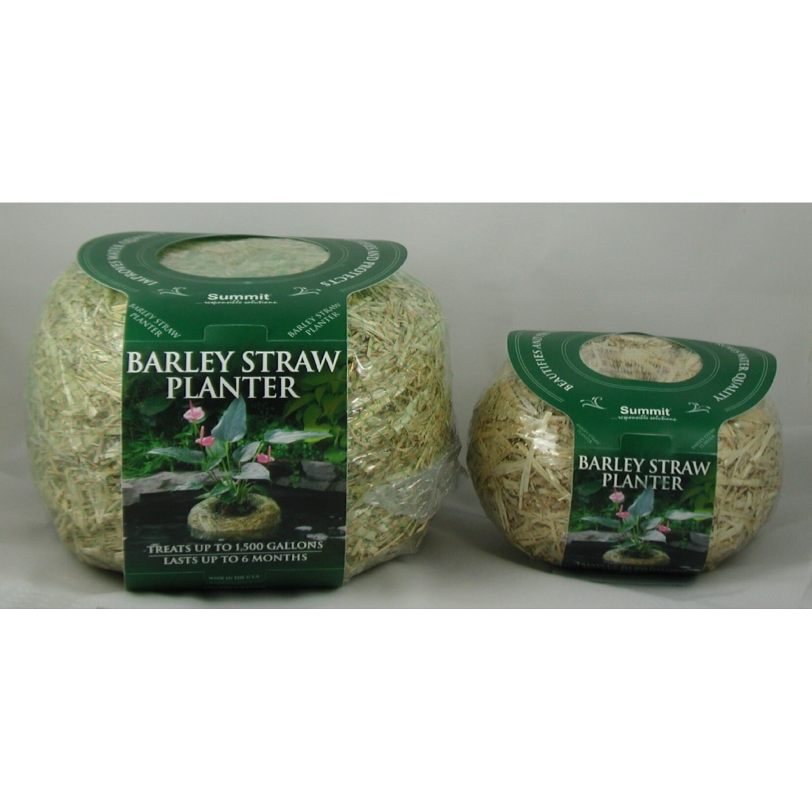 Your Pond Farm BARLEY STRAW PLANTER 11 X 11