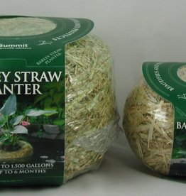 Your Pond Farm BARLEY STRAW PLANTER 11 X 11