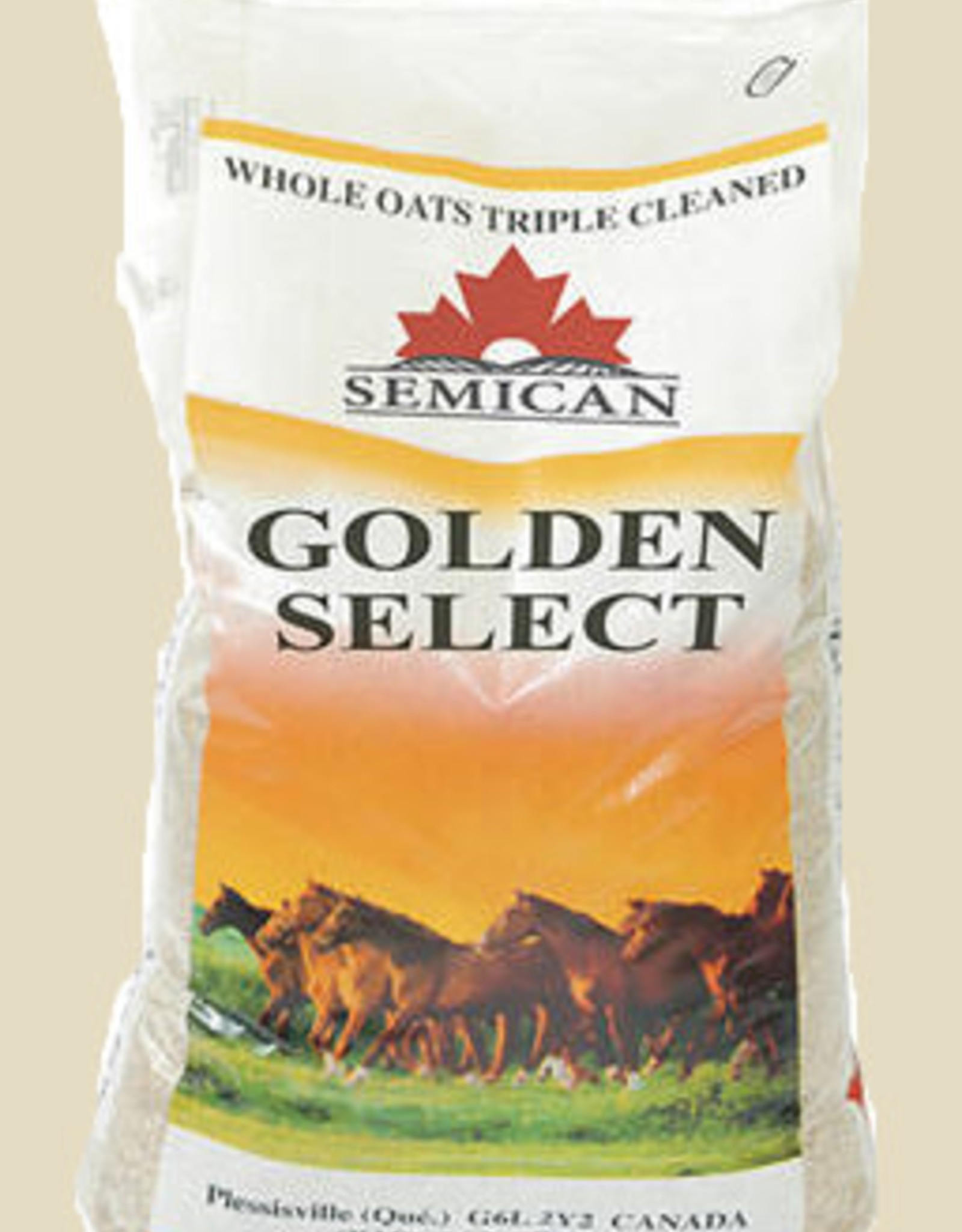 SEMICAN SEMICAN CRIMPED OATS 50 LBS
