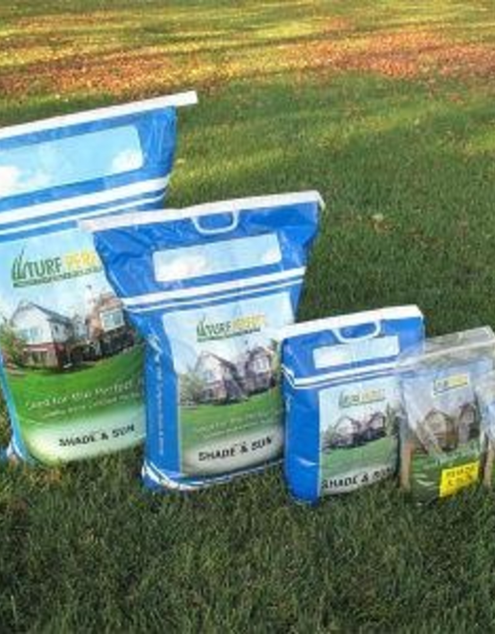 GRASS SHADE/SUN MIX TURFPERFECT 3 Pickering Valley Feed & Farm Store