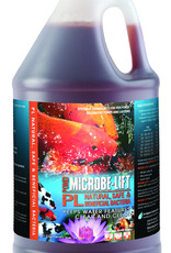 ECOLOGICAL LABS MICROBE LIFT PL 1 GALLON