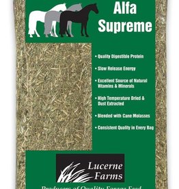 LUCERNE LUCERNE ALFALFA SUPREME 40#