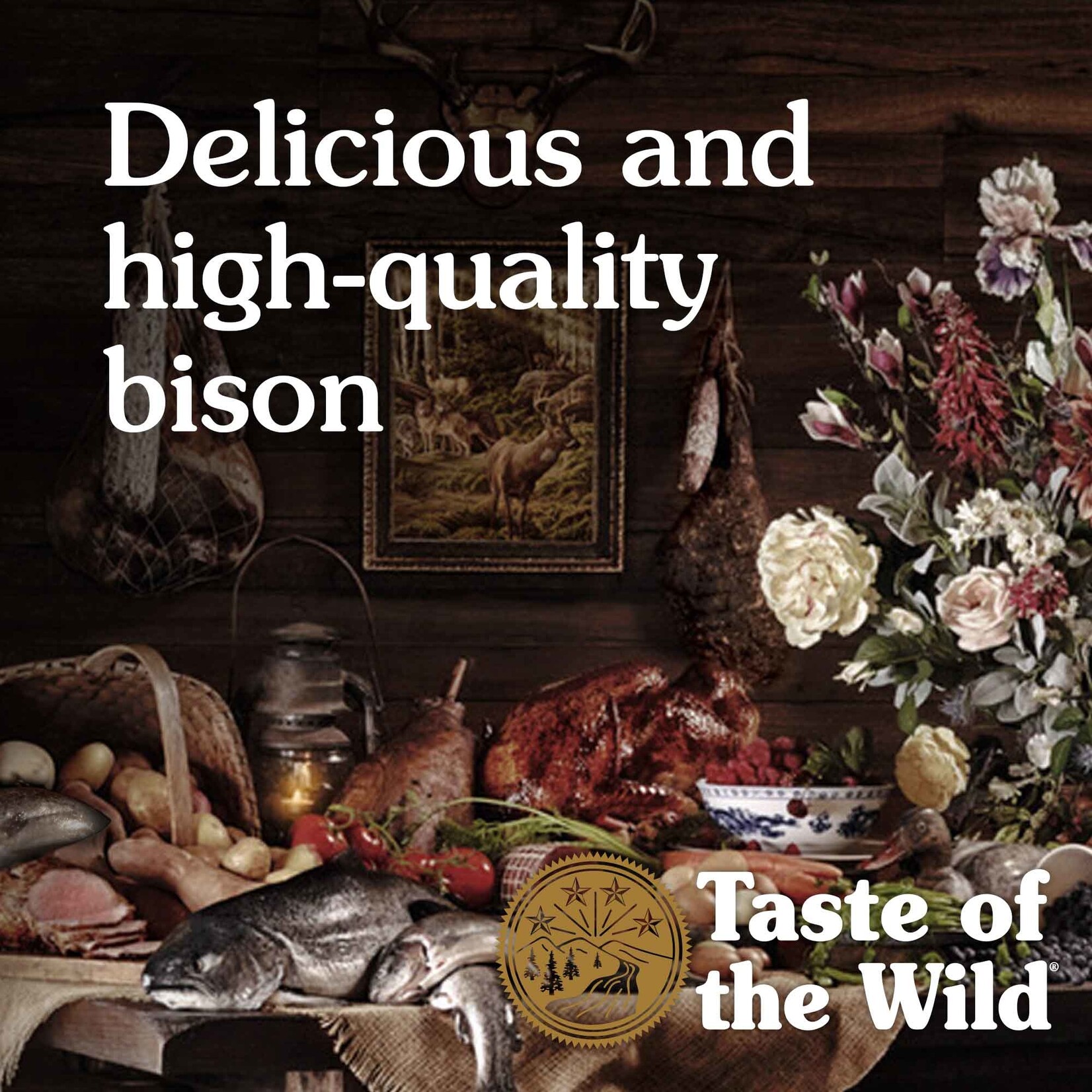 Taste of the Wild Taste of the Wild High Prairie Wet Canned Dog Food with Bison in Gravy - 13.2 Oz, Case of 12