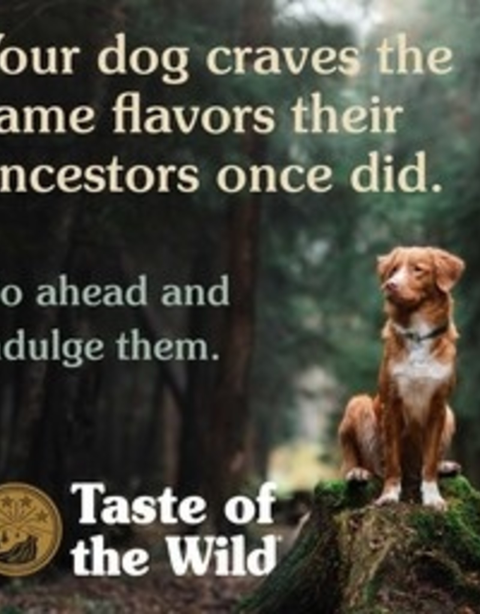 Taste of the Wild Taste of the Wild Pacific Stream Wet Canned Dog Food with Salmon in Gravy - 13.2 Oz, Case of 12