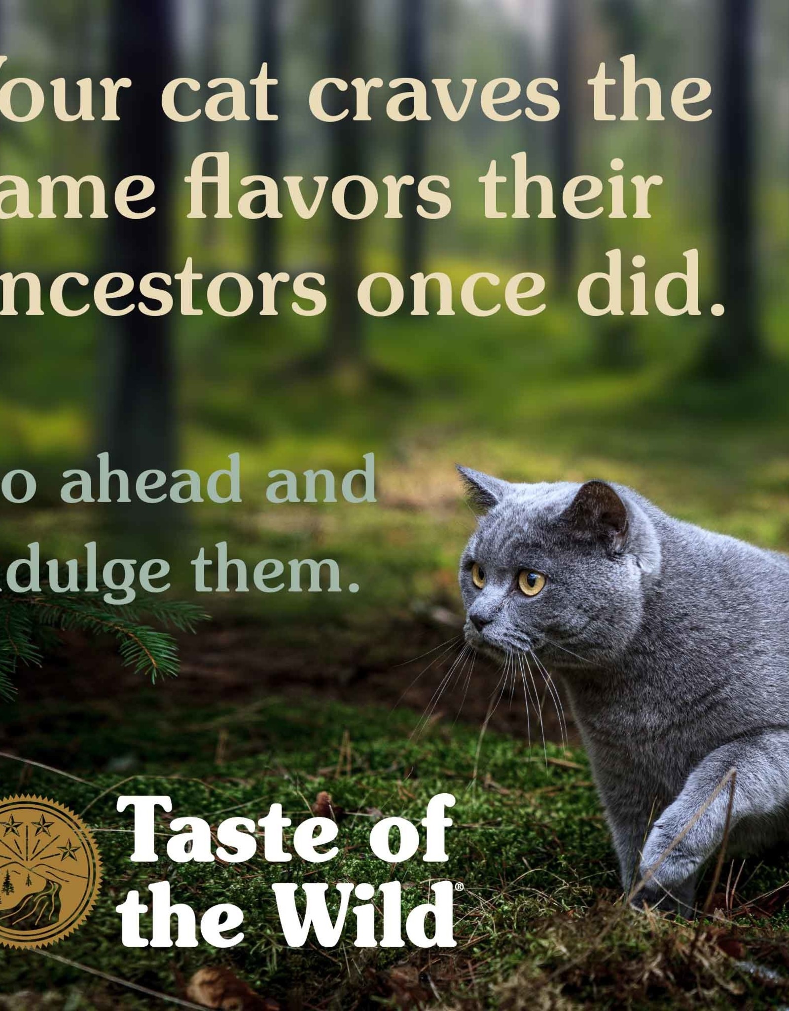 Taste of the Wild TASTE OF THE WILD CAT CAN ROCKY MOUNTAIN 5.5OZ CASE OF 24
