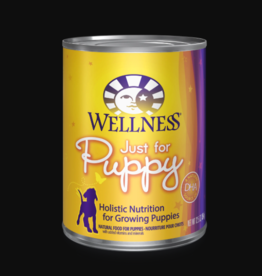 Wellness WELLNESS PUPPY CAN 12.5OZ CASE OF 12