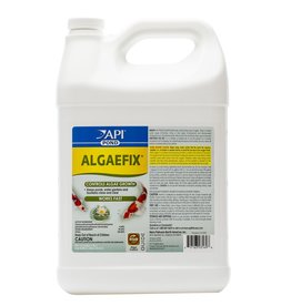 API POND ALGAEFIX GALLON
