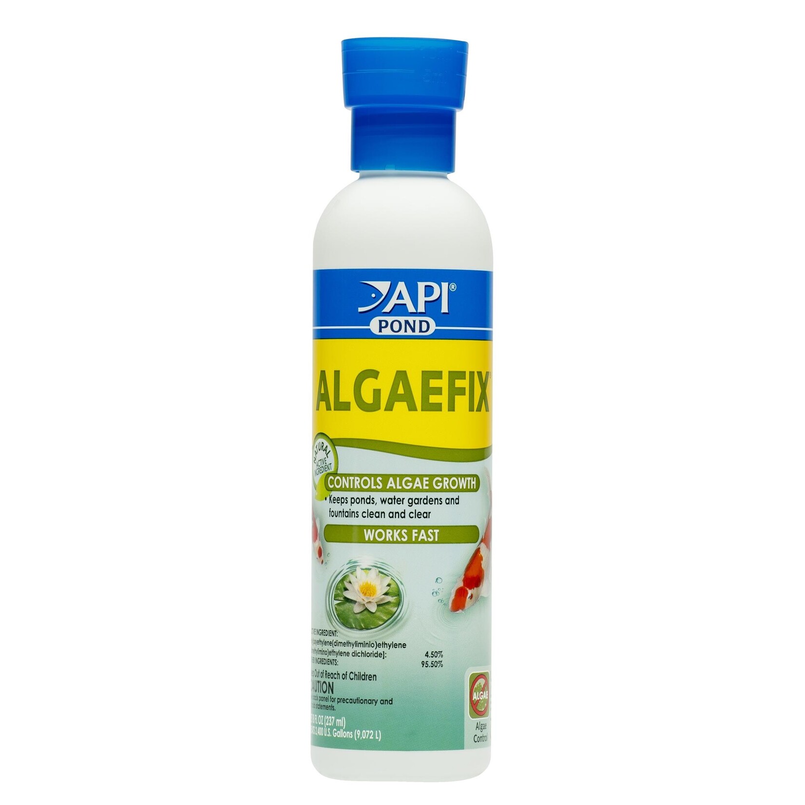 API POND ALGAEFIX 16 OZ