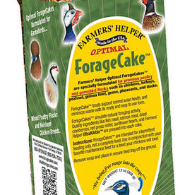 C & S PRODUCTS CO INC FORAGE CAKE FOR PREMIUM FLOCKS