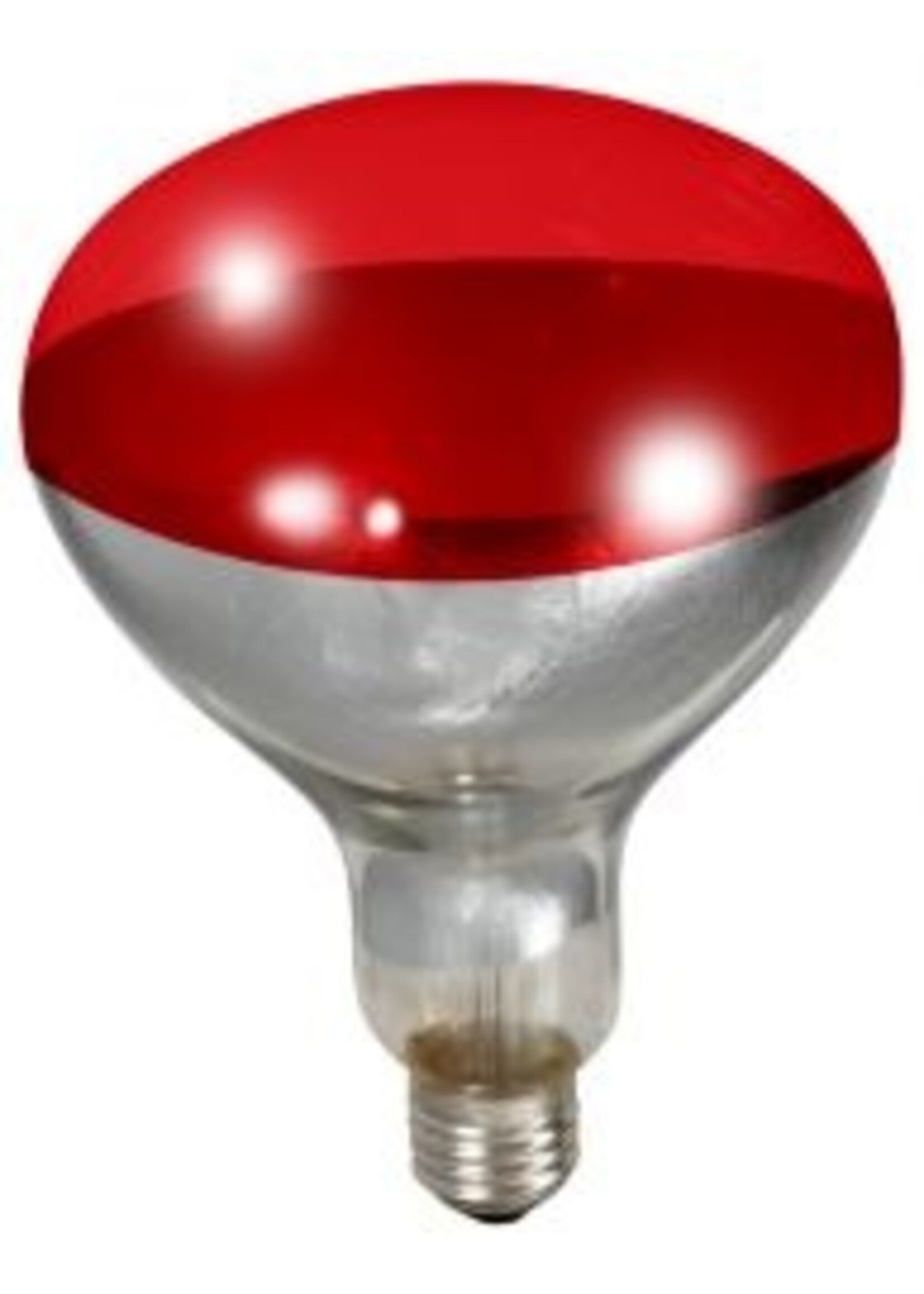 Miller BULB HEAT INFRARED 250 W
