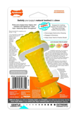 Nylabone Nylabone Puppy Chew Freezer Dog Toy Lamb & Apple Flavor Small