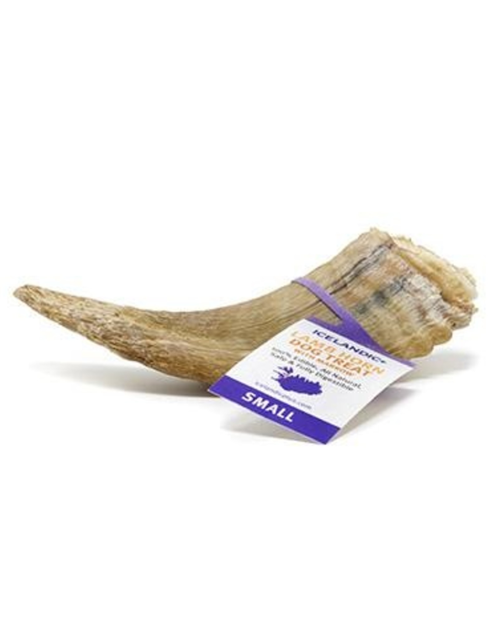 ICELANDIC LAMB HORN SMALL Pickering Valley Feed & Farm Store