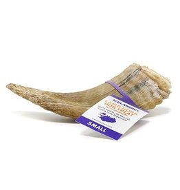 ICELANDIC PLUS ICELANDIC LAMB HORN SMALL