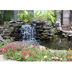 POND HEALTH
