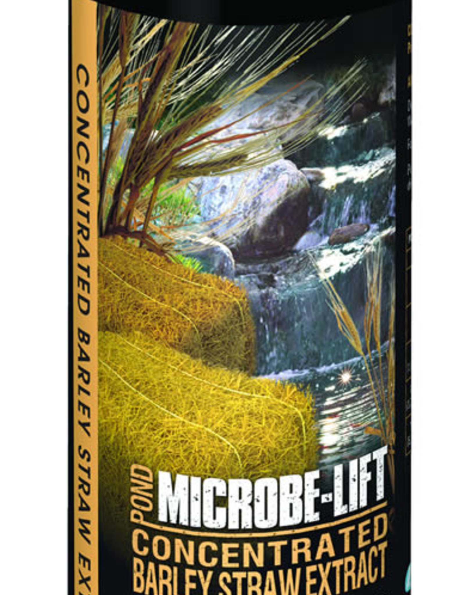 BARLEY STRW EXTRACT ML 16OZ