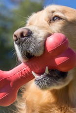 KONG KONG Goodie Bone Dog Toy - Medium