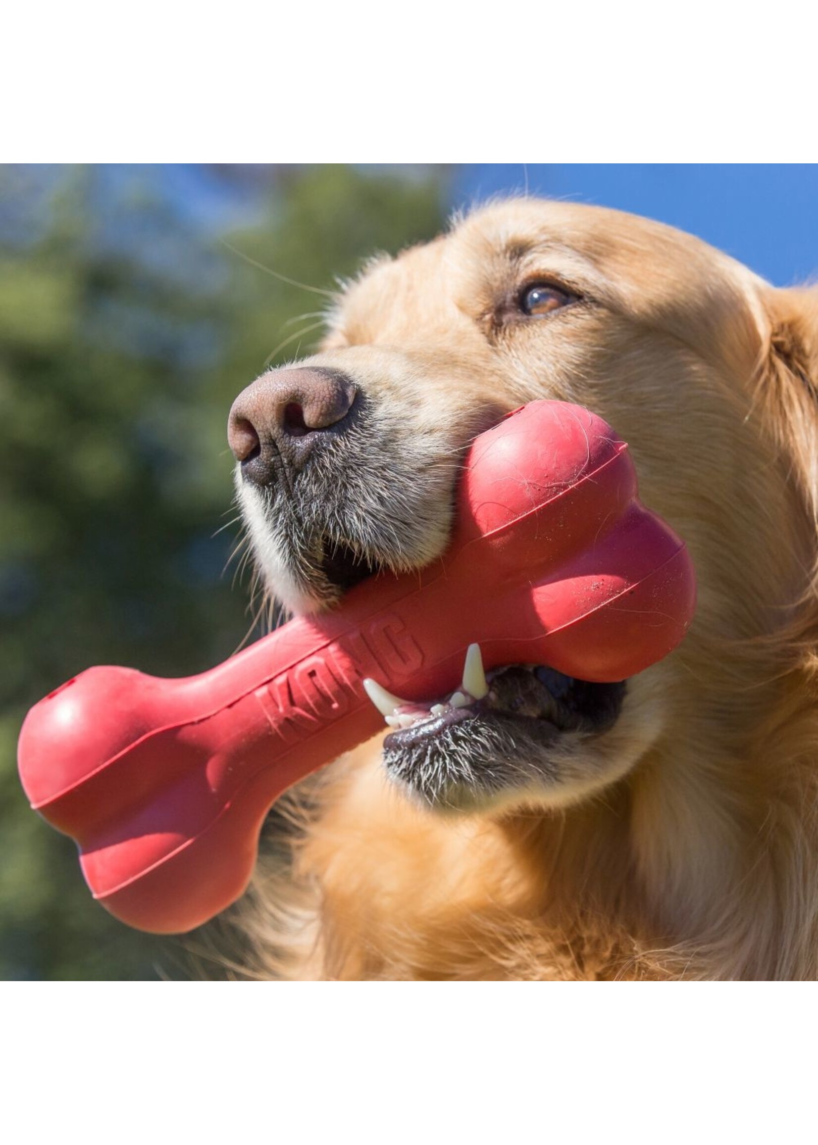 KONG KONG Goodie Bone Dog Toy - Medium