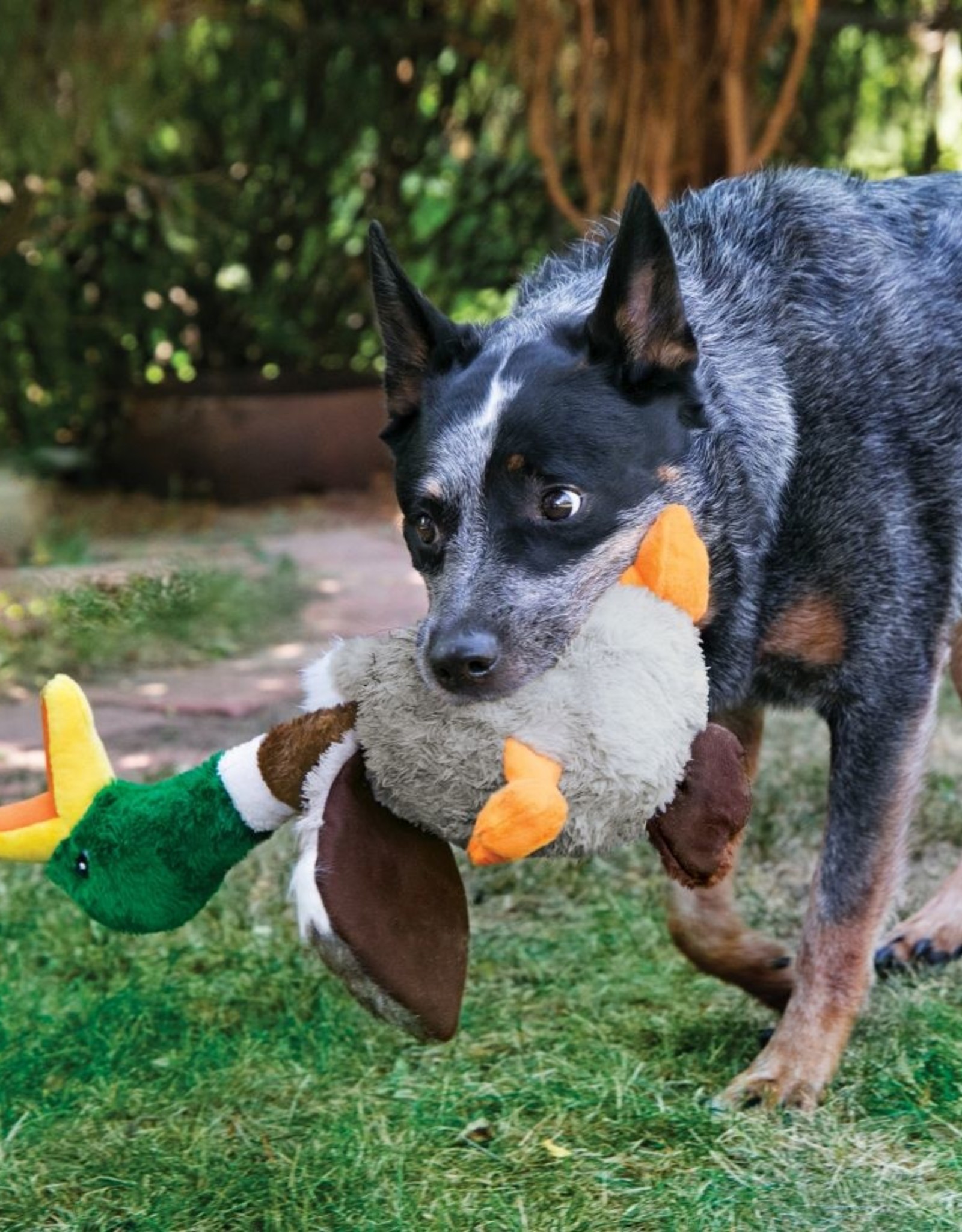 KONG KONG Shakers Honkers Duck Dog Toy - Small