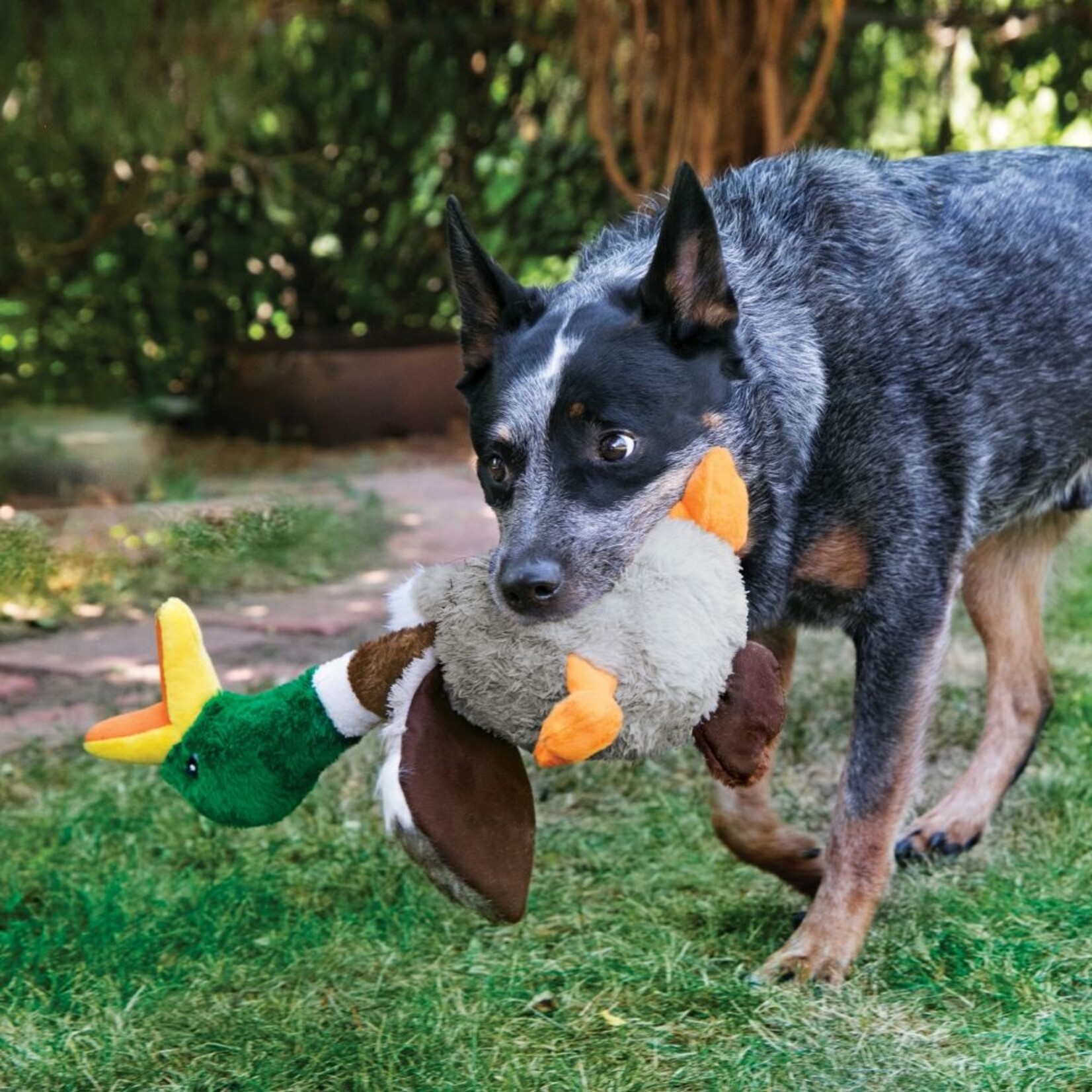 KONG KONG Shakers Honkers Duck Dog Toy - Small