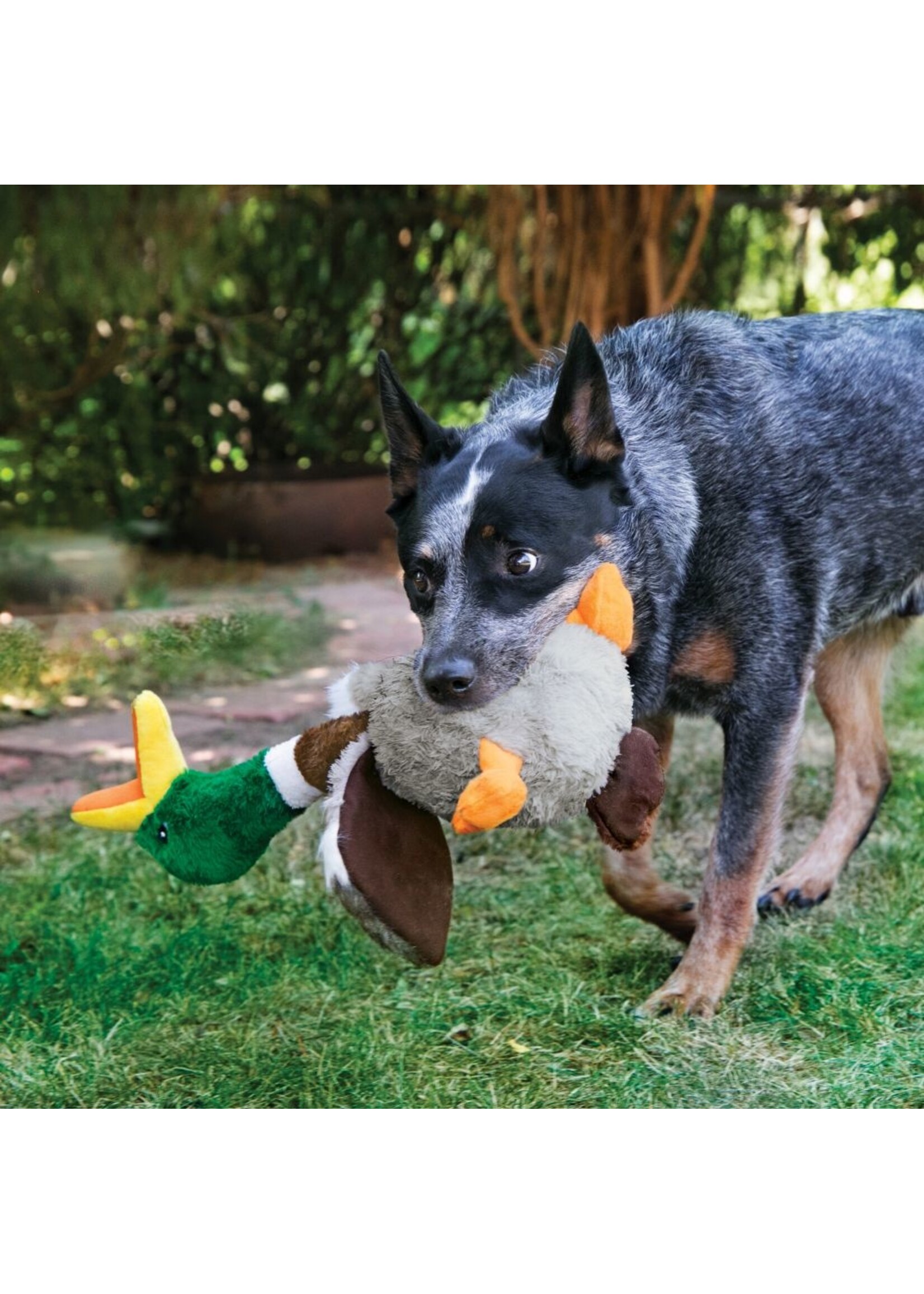 KONG KONG Shakers Honkers Duck Dog Toy - Small